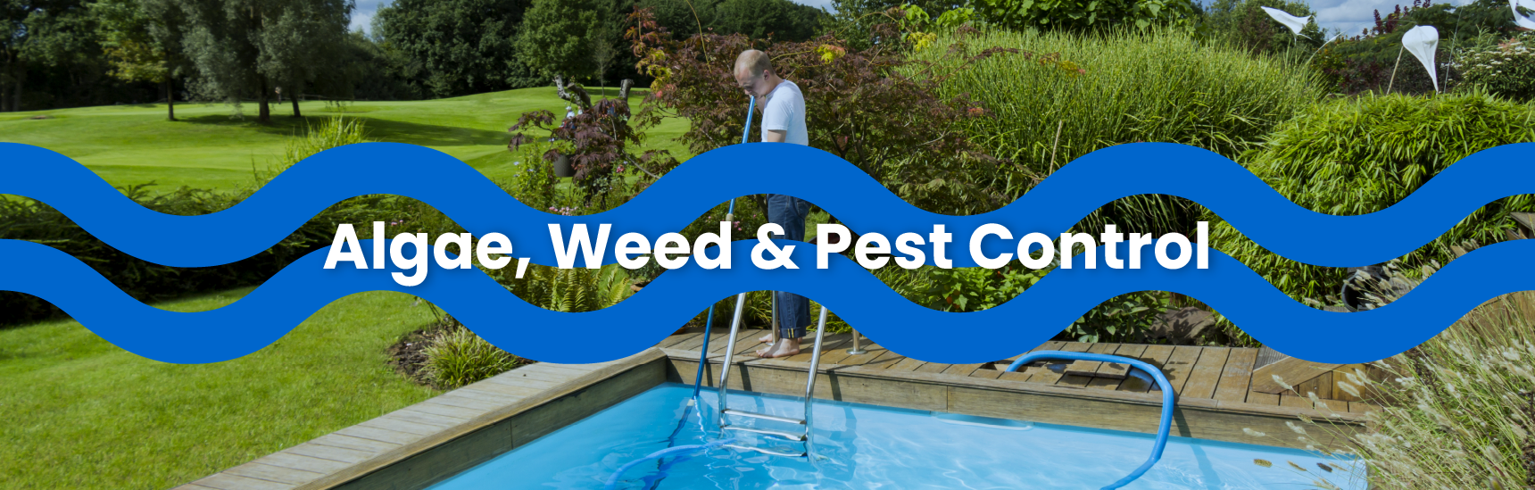 how-to-get-rid-of-water-bugs-in-your-pool-linerworld